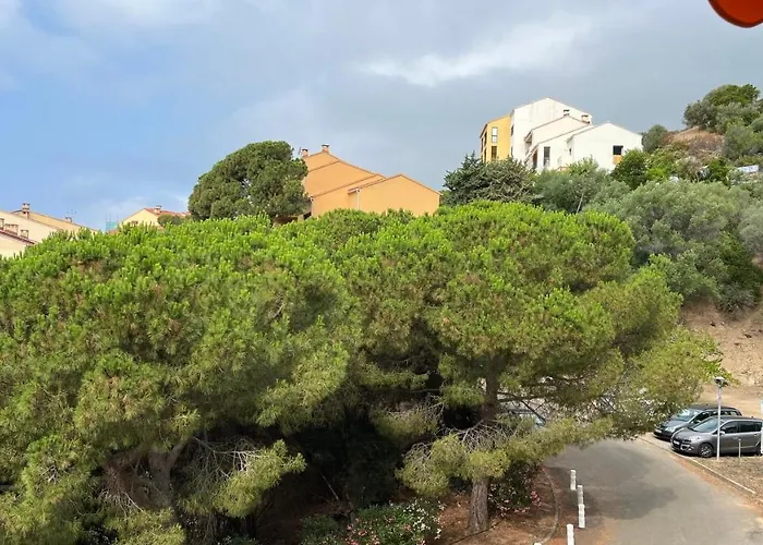 Un Havre De Paix Aux Sanguinaires